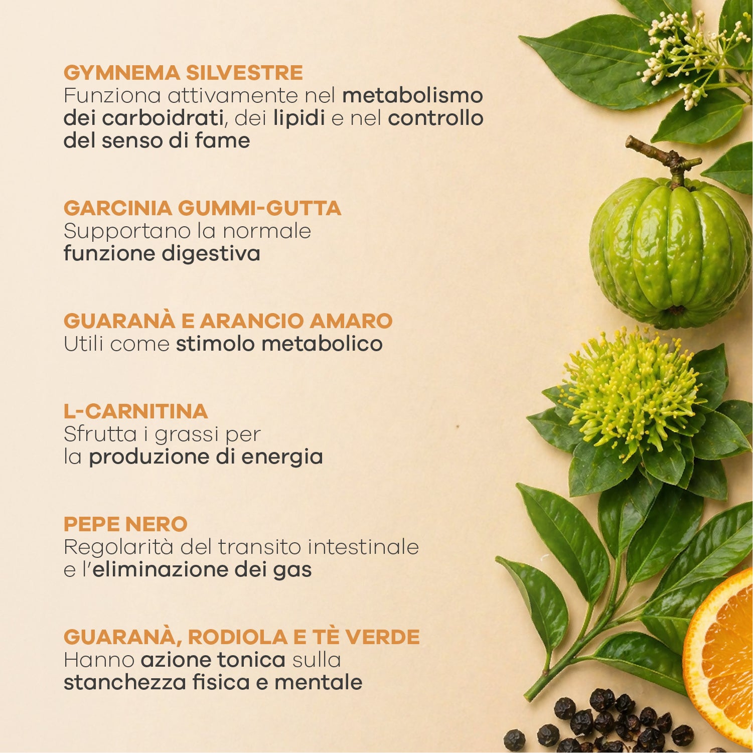 l carnitina dimagrire Braccia Grassi L-carnitina Shot 15x50 ml Dieta Sport Palestra La carnitina per l'allenamento va
